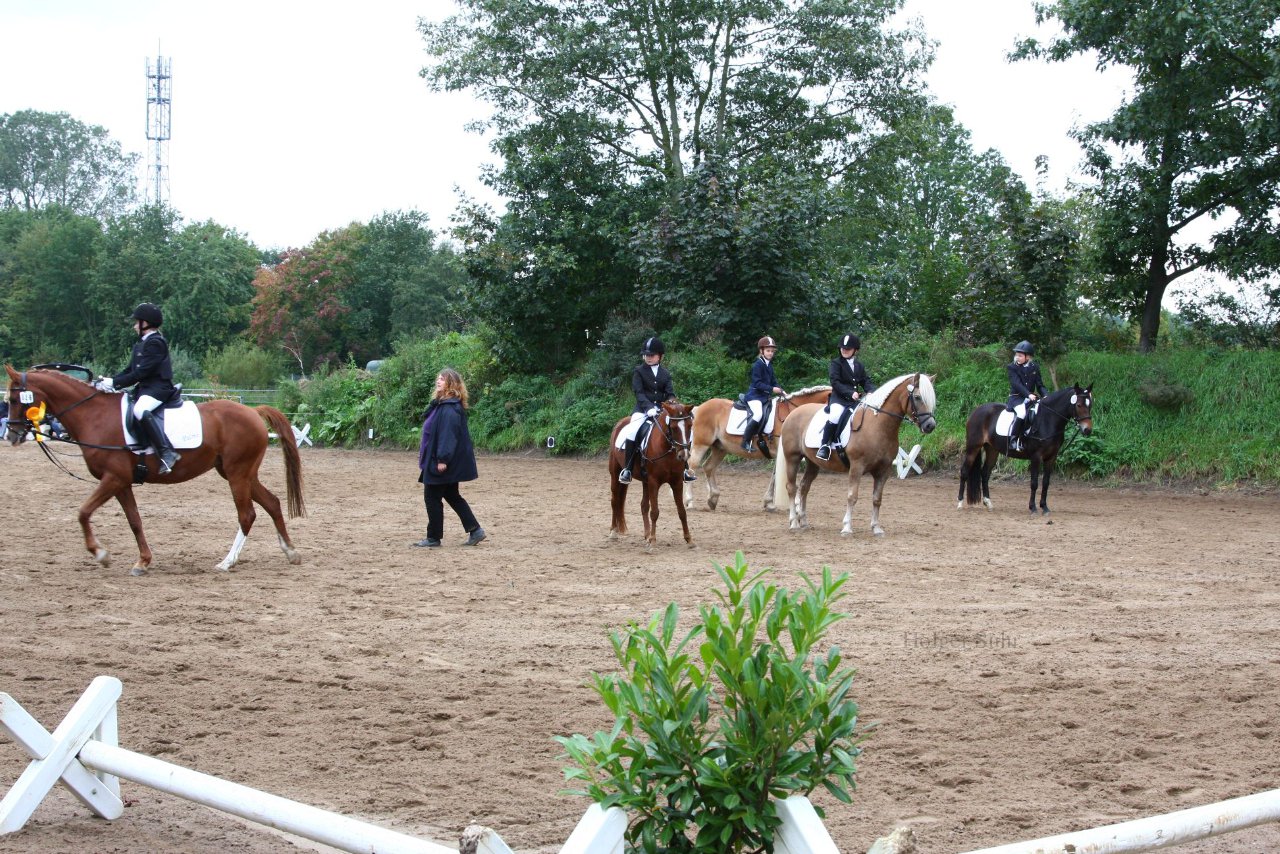 Bild 1071 - WBO-Turnier am 18.9.11